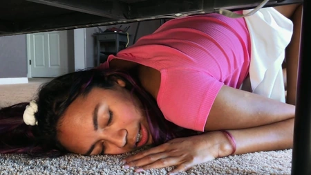 Stallion helped the little Little Squirtles get out